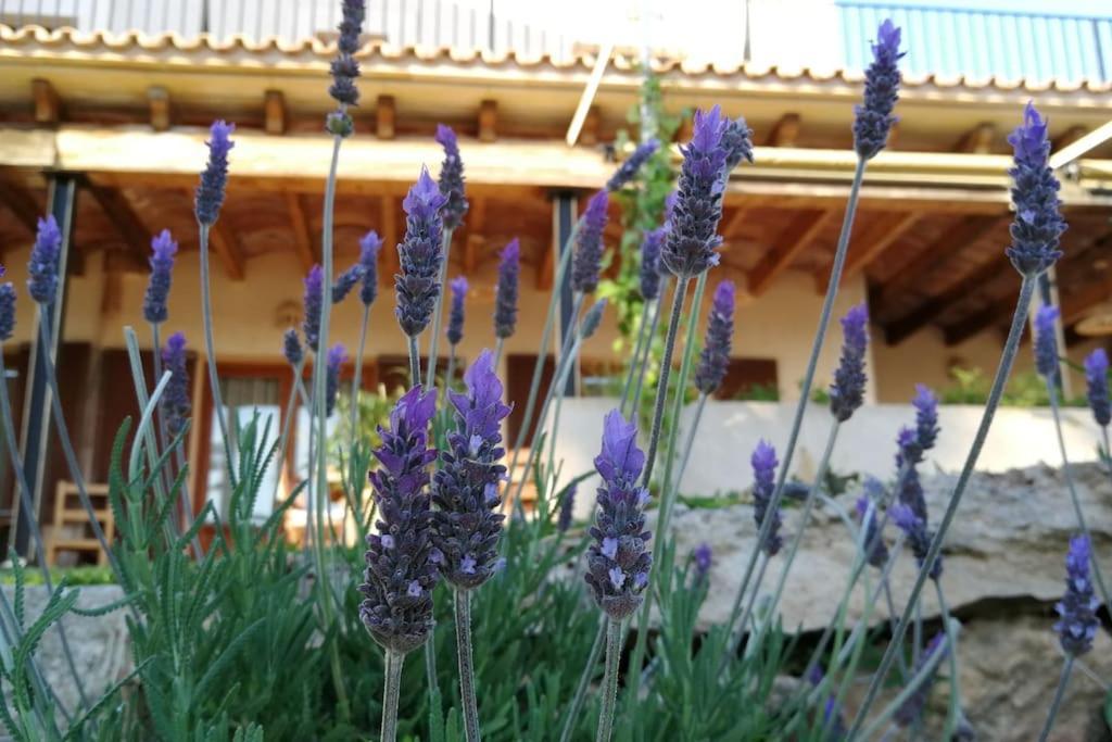 פלמה דה מיורקה Finca Rural S'Estepa מראה חיצוני תמונה